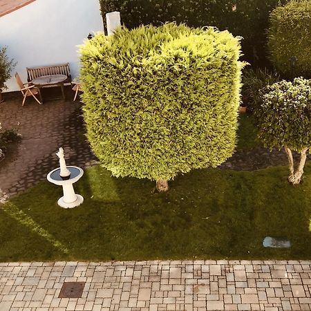 Casa Rehse I Stilvolles Apartment I 24H-Self-Check-In I Kostenlos Parken & Wlan I 55-Zoll-Smart&Kabel-Tv I Oepnv エアフルト エクステリア 写真